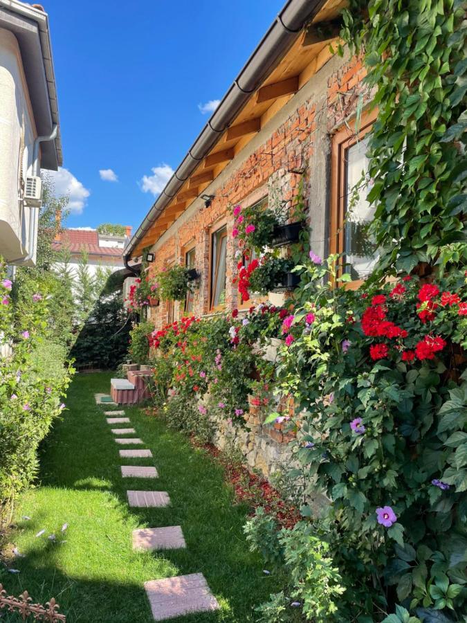 Flower House In The City Center! Pristina Exterior foto