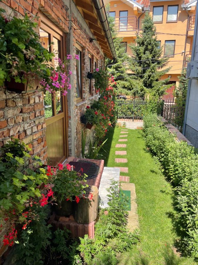 Flower House In The City Center! Pristina Exterior foto